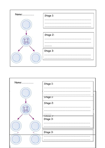 docx, 506.55 KB