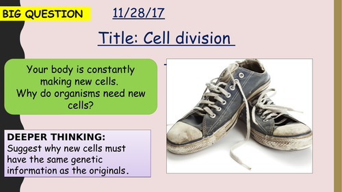 AQA new specification-Cell division (mitosis)-B2.1