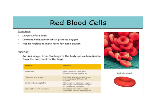 KS3 lesson on specialised cells | Teaching Resources