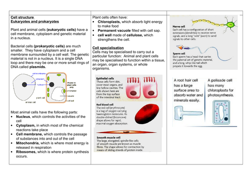 Aqa 9 1 Gcse Biology Paper One Knowledge Organiser Cell Biology 5704