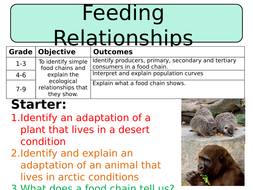 NEW AQA GCSE Trilogy (2016) Biology – Feeding Relationships | Teaching ...