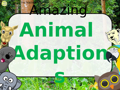 Animal Adaptions PowerPoint & Quiz | Teaching Resources
