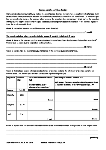 GCSE Ecology new spec for triple higher tier: biomass transfer