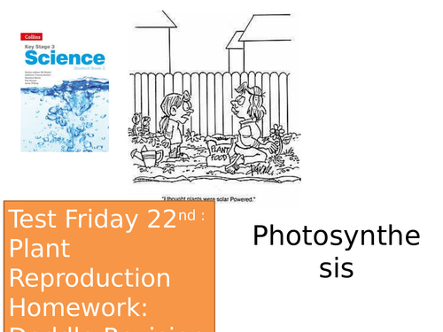 photosynthesis-teaching-resources