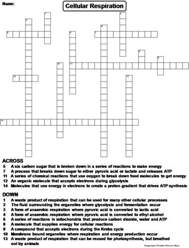 Cellular Respiration Crossword Puzzle
