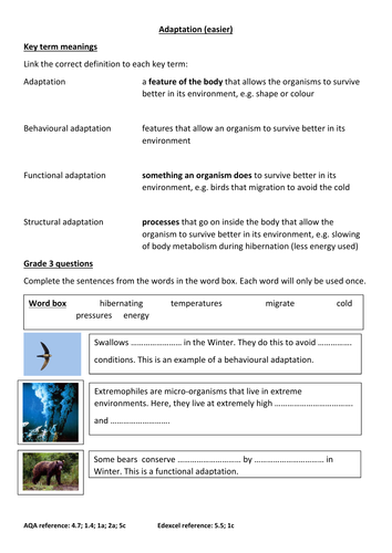 GCSE Ecology new spec for Foundation: Adaptation