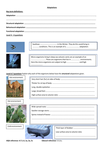 GCSE Ecology new spec for higher tier: Adaptation