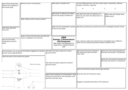 AQA Trilogy Science (9-1) Biology 5 Homeostasis and Response Revision Broadsheet