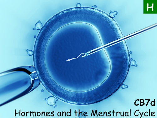 Edexcel CB7d Hormones and the Menstrual Cycle