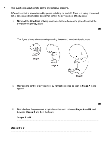 Regulating gene expression - complete lesson (A2) | Teaching Resources