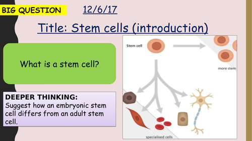 AQA new specification-Stem cells (introduction)-B2.3