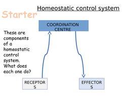 AQA B5 - Homeostasis and Response - 15 Lessons by frank_arris