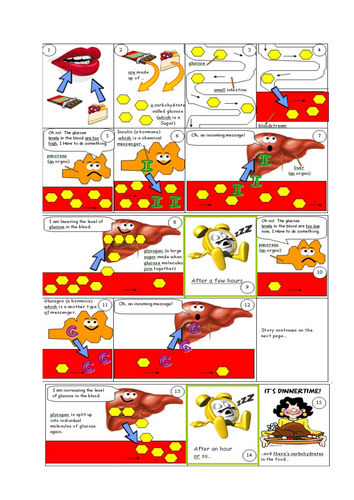 AQA B5 - Homeostasis and Response - 15 Lessons | Teaching Resources