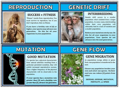 Natural Selection Classroom Board Game | Teaching Resources