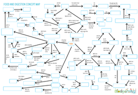 Nutrition and Digestion - Concept map | Teaching Resources