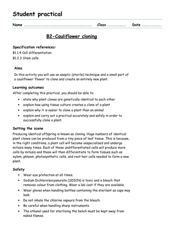 AQA new specification-B2-Cauliflower cloning practical