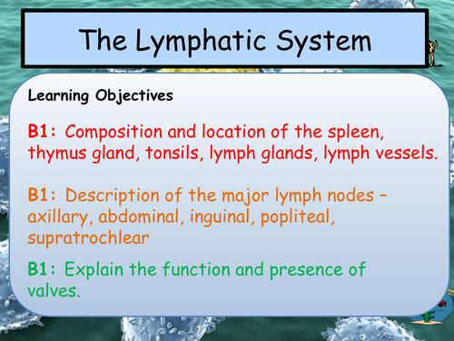 BTEC Applied Science 2016 Unit 8 Aim B, Lymphatic System- Physiology of ...