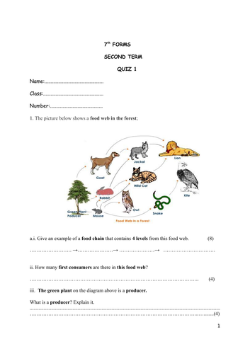 Food webFood chain quiz Biology Diagrams