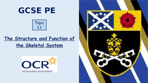 GCSE PE OCR - 1.1 The Structure and Function of the Skeletal System