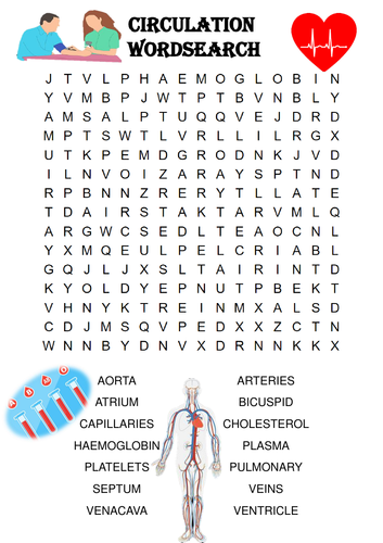 Biology Word Search: Circulatory system (Includes blood,vessels and heart)