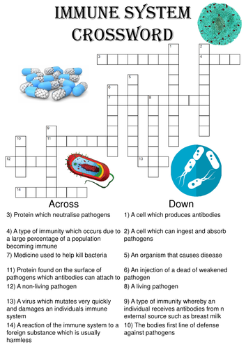 Biology Crossword Puzzle: The immune system (Includes answer key