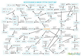 Immune System Concept Map Microbes and Immunity   Concept map | Teaching Resources