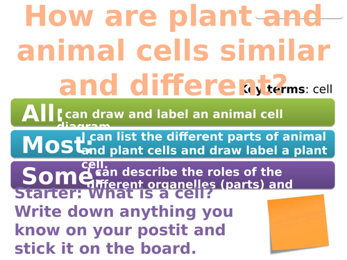 7Ad Cells (Exploring Science)