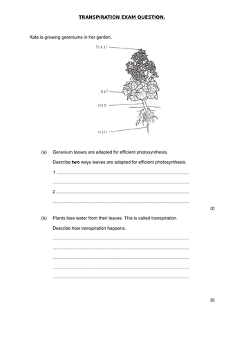 The transpiration stream OCR B2.2g AQA 4.2.3.2 | Teaching Resources