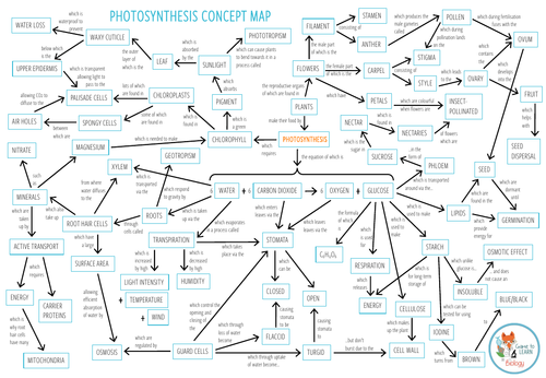Photosynthesis Concept Map Worksheet Photosynthesis - Concept Map (Ks4) | Teaching Resources