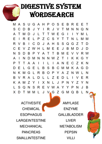 Biology word search Puzzle: The digestive system (Includes answer key