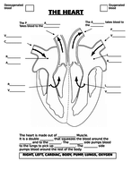 The Heart - AQA (9-1) | Teaching Resources