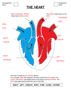 The Heart - AQA (9-1) | Teaching Resources