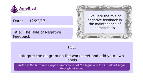The Role Of Negative Feedback AQA 9 1 Teaching Resources