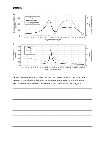 docx, 251.86 KB