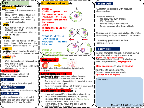 AQA GCSE (9 – 1) Biology Unit B2 Revision lesson | Teaching Resources