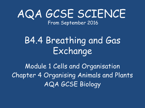 NEW GCSE Biology - B4 Organisation in Animals and Plants | Teaching ...