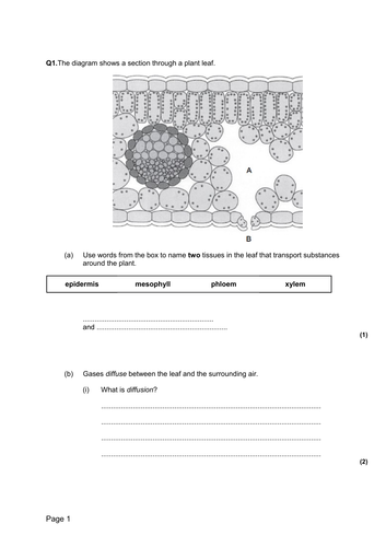 NEW GCSE Biology - B4 Organisation in Animals and Plants | Teaching ...