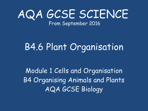 NEW GCSE Biology - B4 Organisation in Animals and Plants | Teaching ...