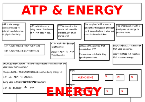 OCR A2 Anatomy & Physiology (New Spec 2016 onwards) Revision Broadsheets