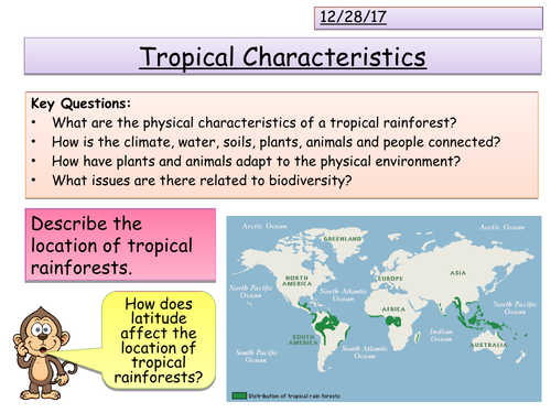 Tropical Rainforests Characteristics