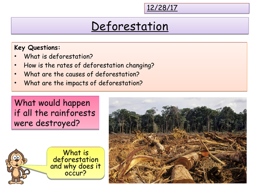 Deforestation