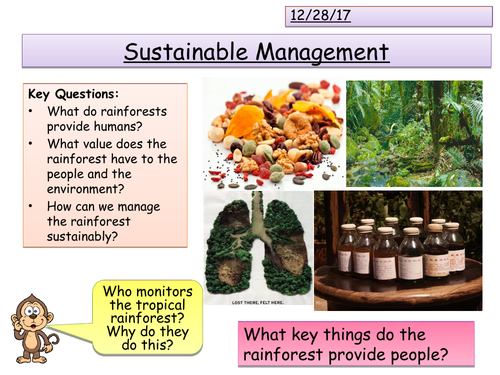 Sustainable Rainforest Management