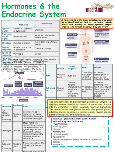 GCSE Science Term 3 Revision Pack | Teaching Resources