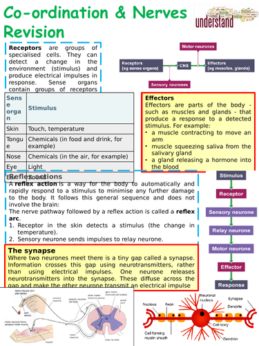GCSE Science Term 3 Revision Pack | Teaching Resources