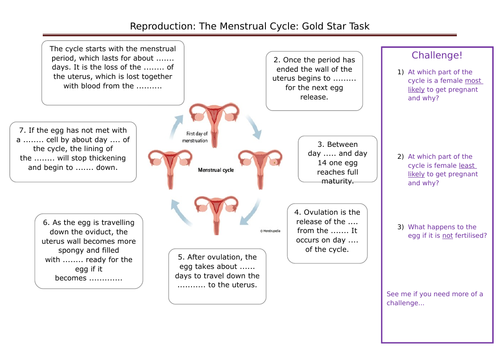 KS3 Human Reproduction including puberty, menstrual cycle and pregnancy ...