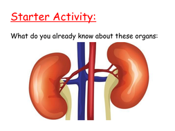 homeostasis ppt applied diabetes 1d unit science inc year mb