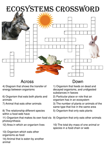 Biology Crossword Puzzle: Ecosystems
