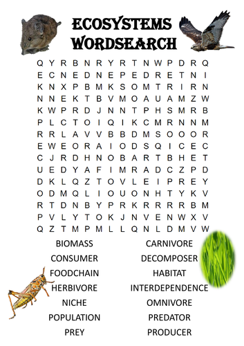 Biology word search Puzzle: Ecosystems (Includes answer key) | Teaching