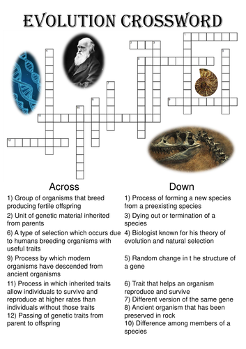 Biology Crossword Puzzle: Evolution (Includes Solution)