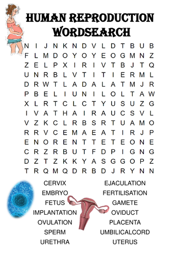 Biology word search Puzzle: Human Reproduction (Includes answer key)